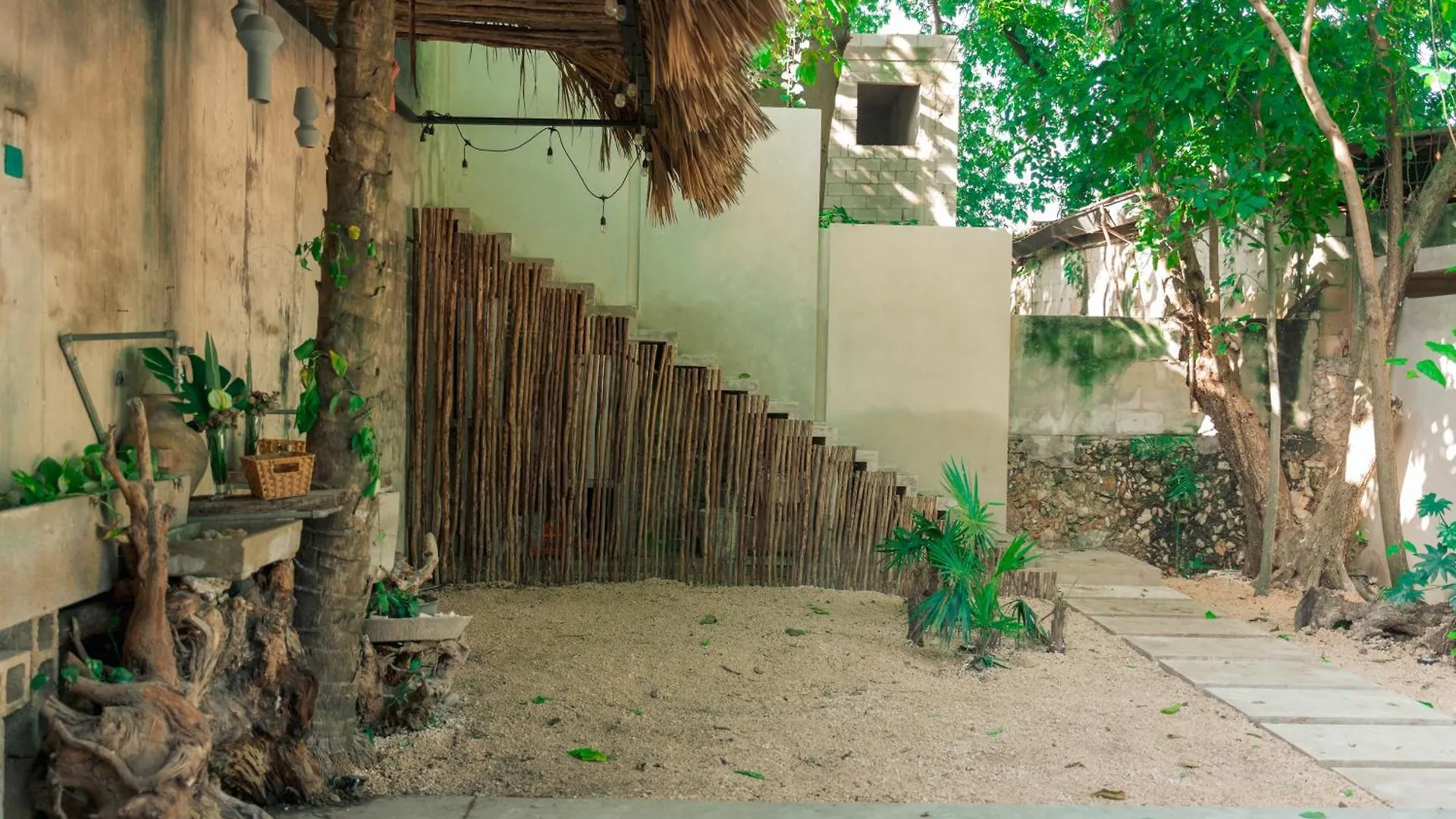 Escentrike Hostal Mérida Meksika